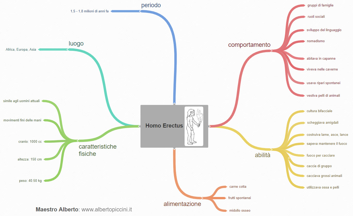 Mappe Concettuali E Schemi Di Sintesi Per La Scuola Primaria L Homo Erectus Maestro Alberto