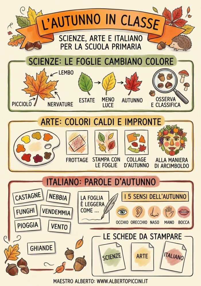 Autunno maestro alberto infografica