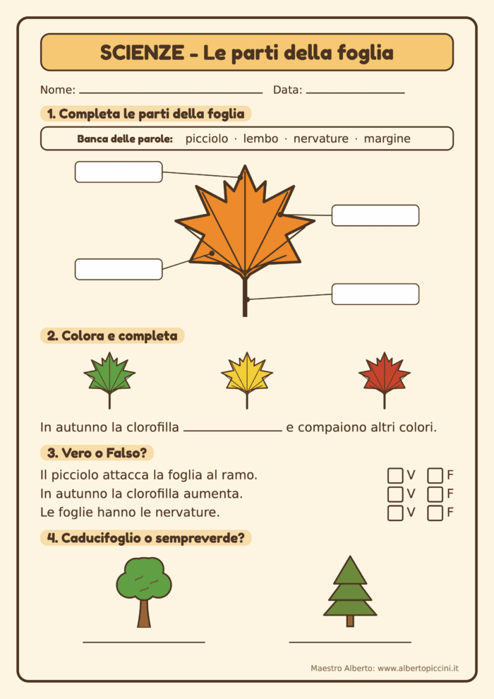 Autunno maestro alberto scienze