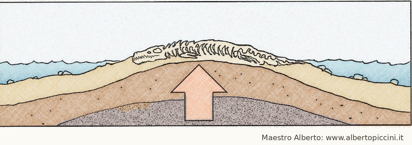 Fase 4 della fossilizzazione: il terreno si solleva e il fossile affiora in superficie