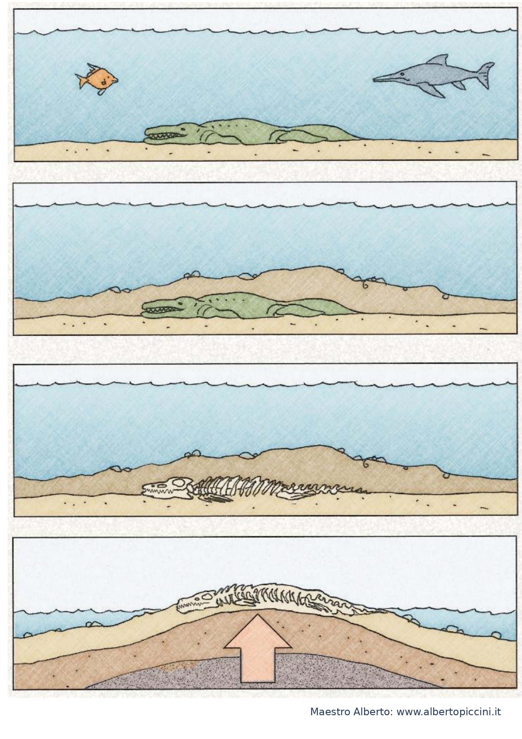 Scheda sul processo di fossilizzazione colorata con colori tenui e realistici, effetto matita colorata